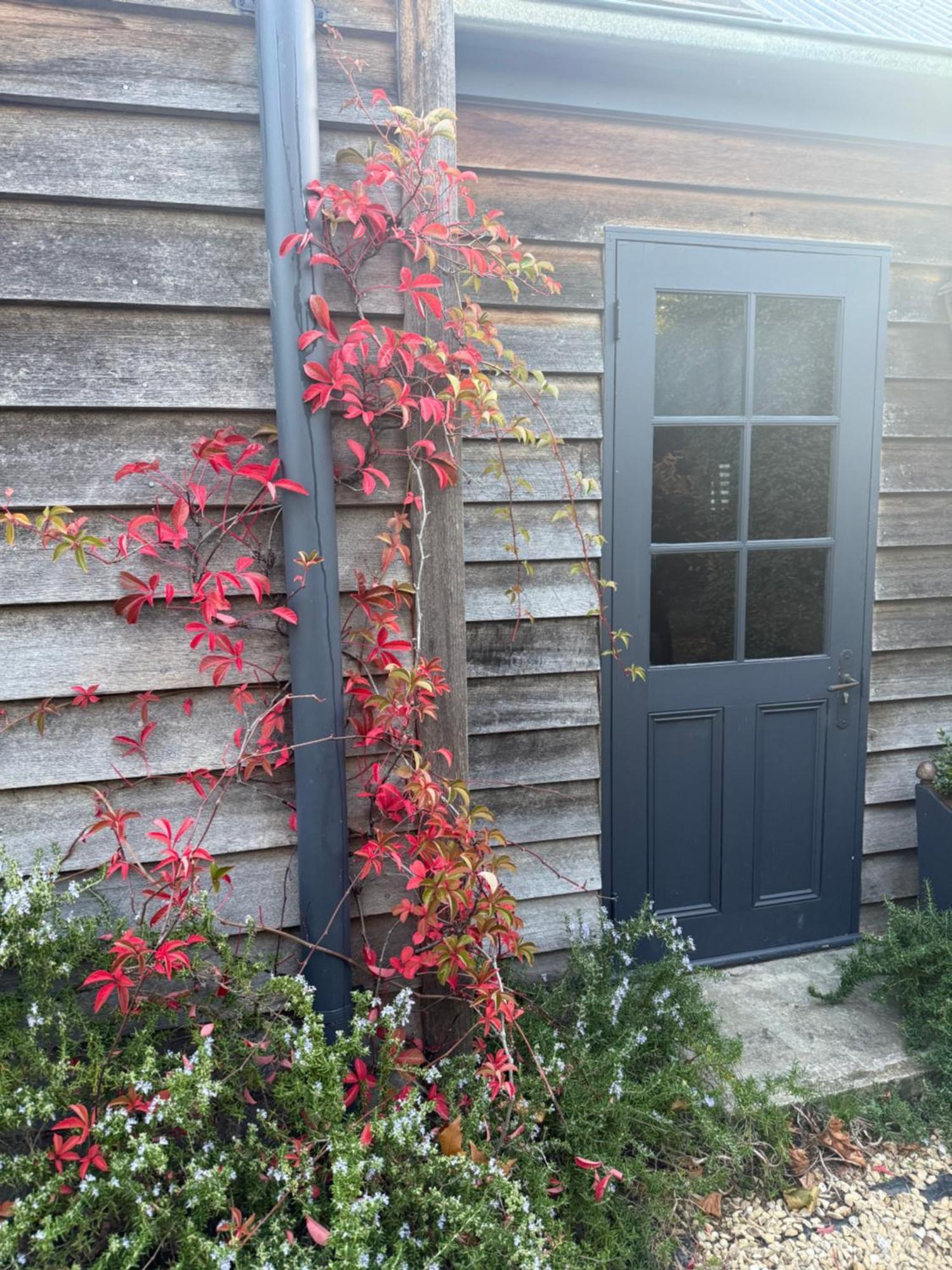 Elm Cottage Barn Oatlands Exterior photo